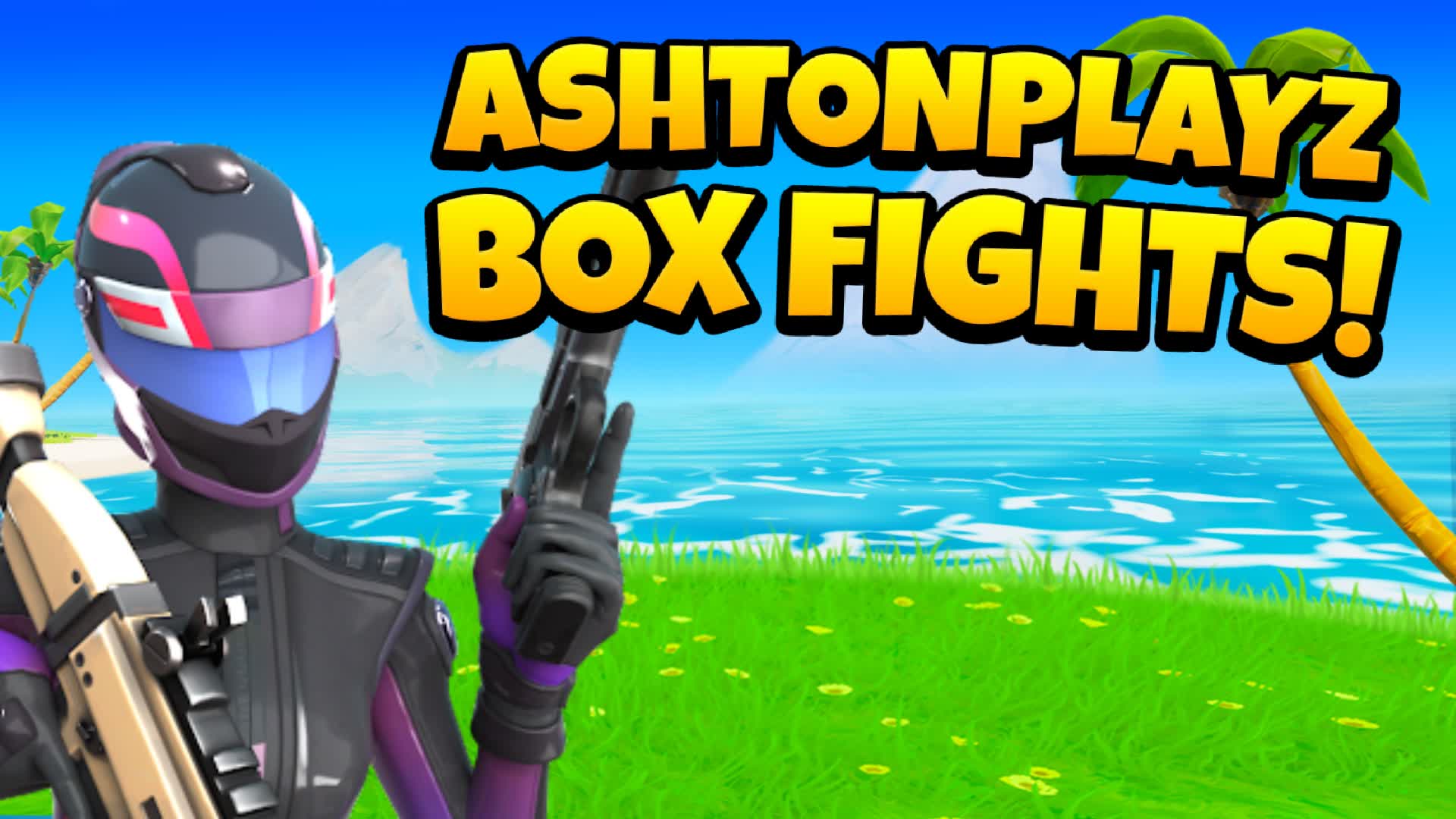 AshtonPlayz Box Fights