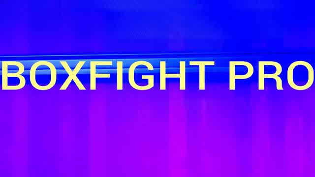 BOXFIGHT PRO