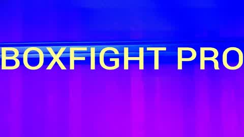 BOXFIGHT PRO