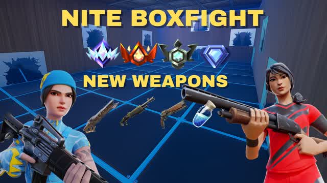 Nite Box Fight