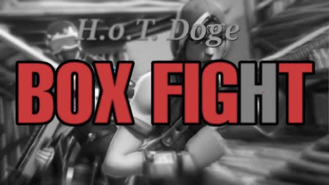 h.O.t. DOGE Box fightING PVP