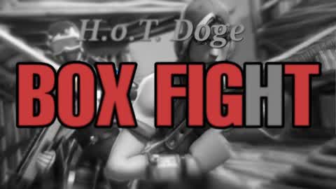 h.O.t. DOGE Box fightING PVP