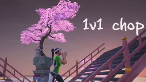 1v1 chop