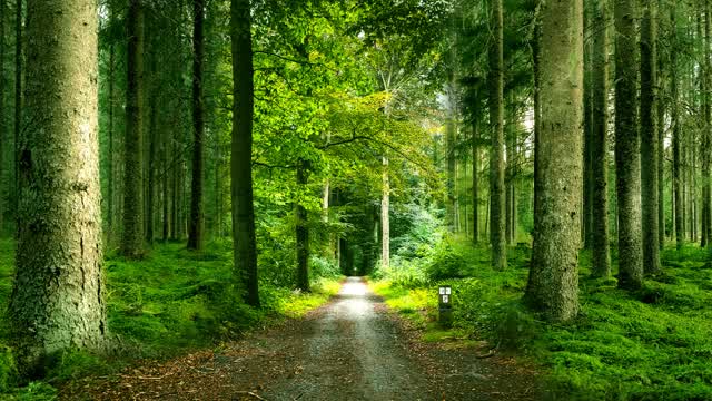 Capture 1 – DALREWIW