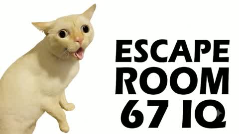 67 FUN CAT ESCAPE ROOM👑