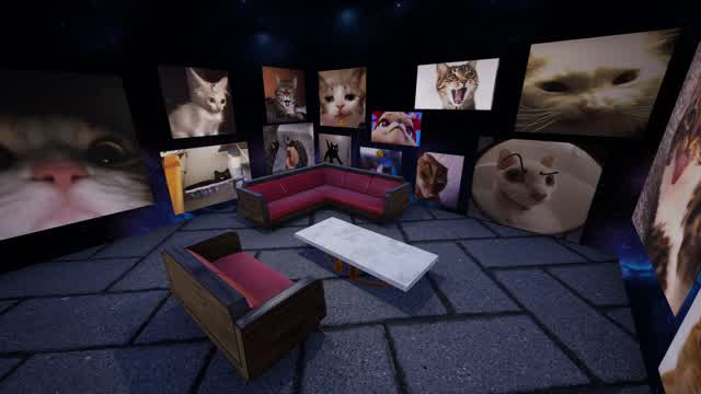 CAT ZONE