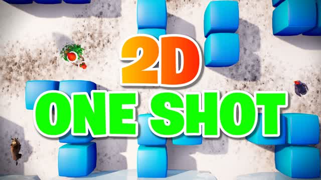 2D One Shot!