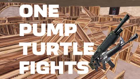 ONE PUMP TURTLE FIGHTS