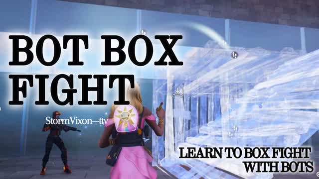 Bot Box Fight