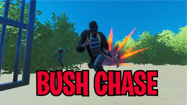 Capture 1 – Bush Chase