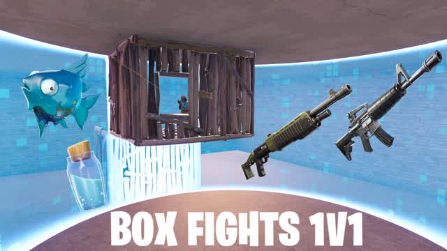 BOX FIGHTS 1V1