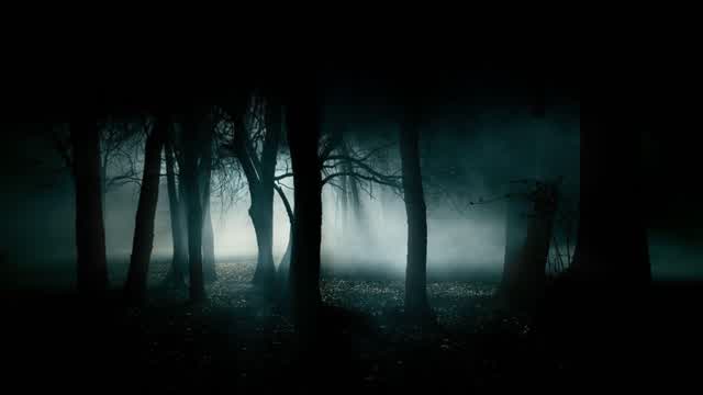 HOUSE OF SUSPENSE
