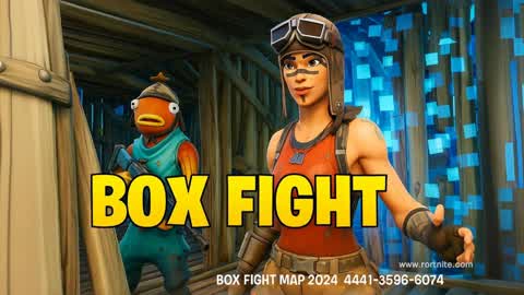 box fight