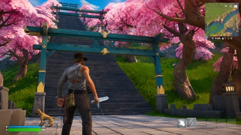 Island image