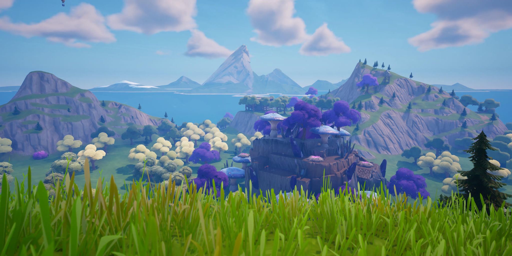 Apollis Royale (NEW)