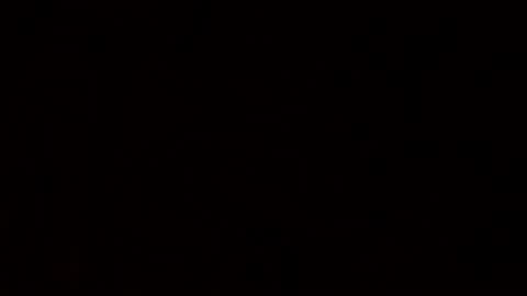 AssetReflectionPersistence