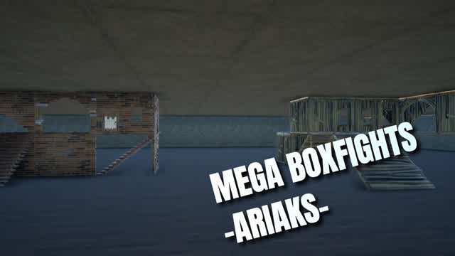 Mega Box fights - Ariaks