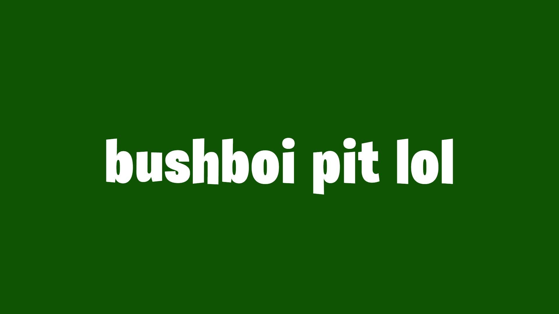 bushboi_pit