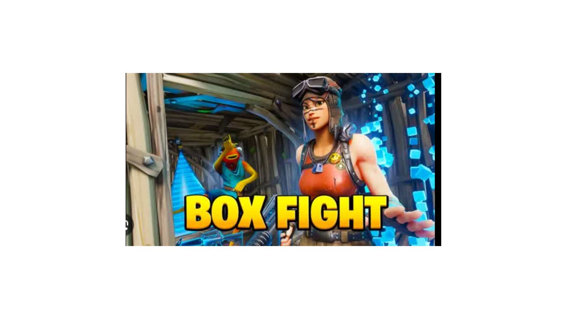 The Best Box Fight