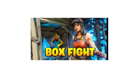The Best Box Fight