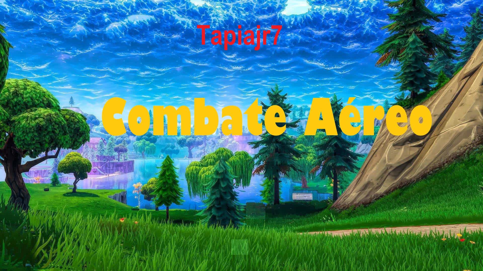 Combate Aéreo Tapiajr7