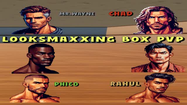 LOOKSMAXXING BOX FIGHT!📦