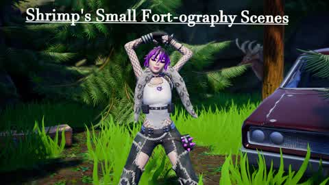 Shrimp's Fortography: Natural Small Sets