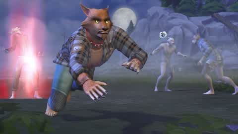 LOUP GAROU 🐺🐺🐺