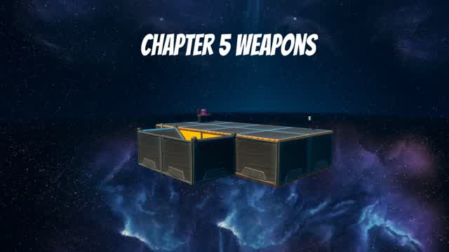 BUSHDEAD'S 1V1S (C5S1 Weapons!)