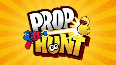 ⭐️PROP HUNT⭐️