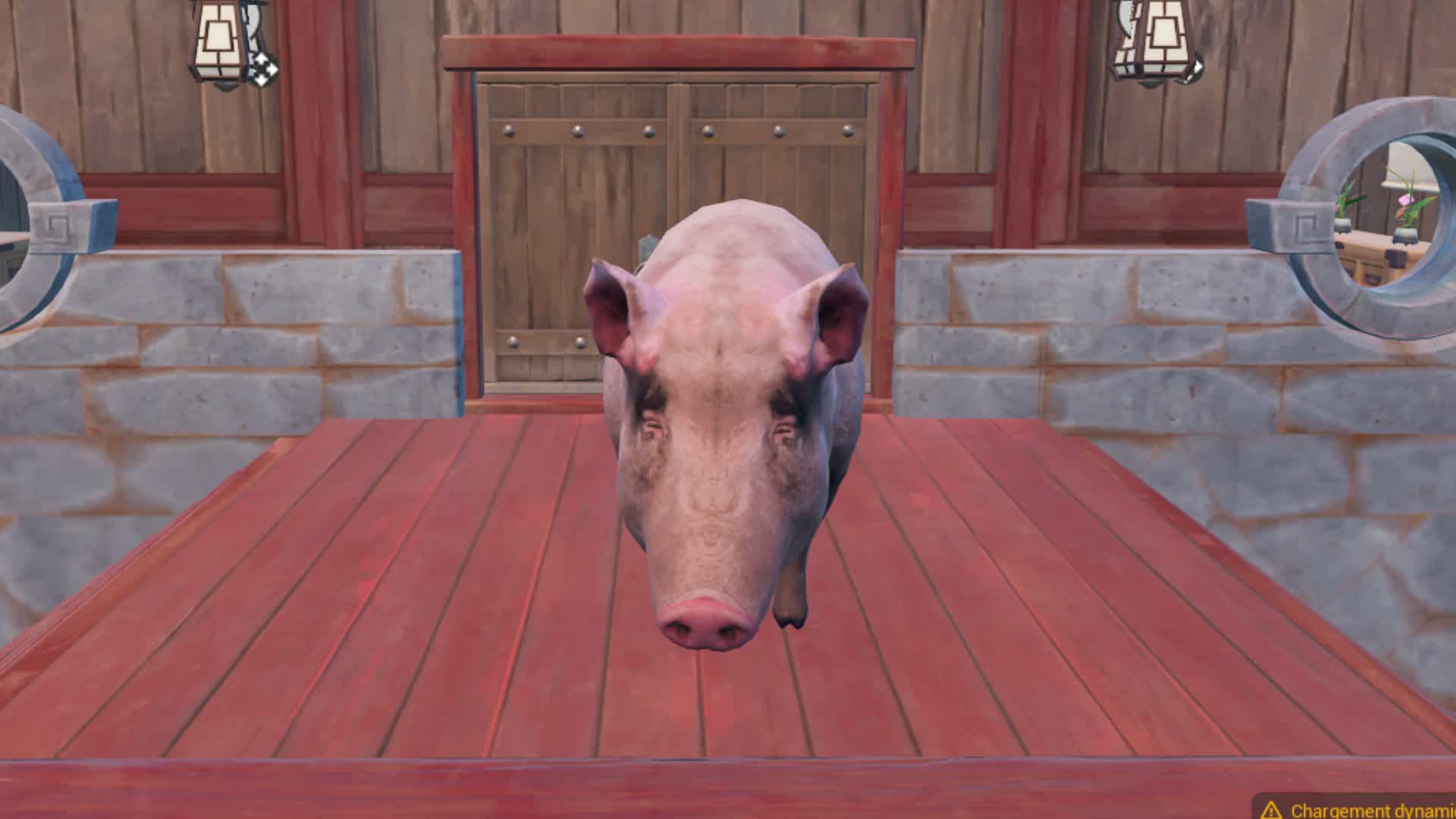 MEET PIG