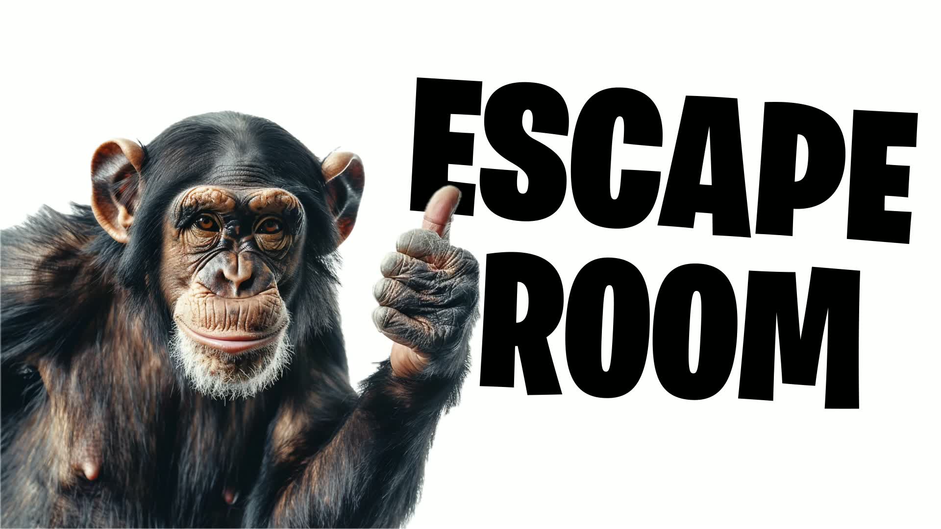41 Escape Room