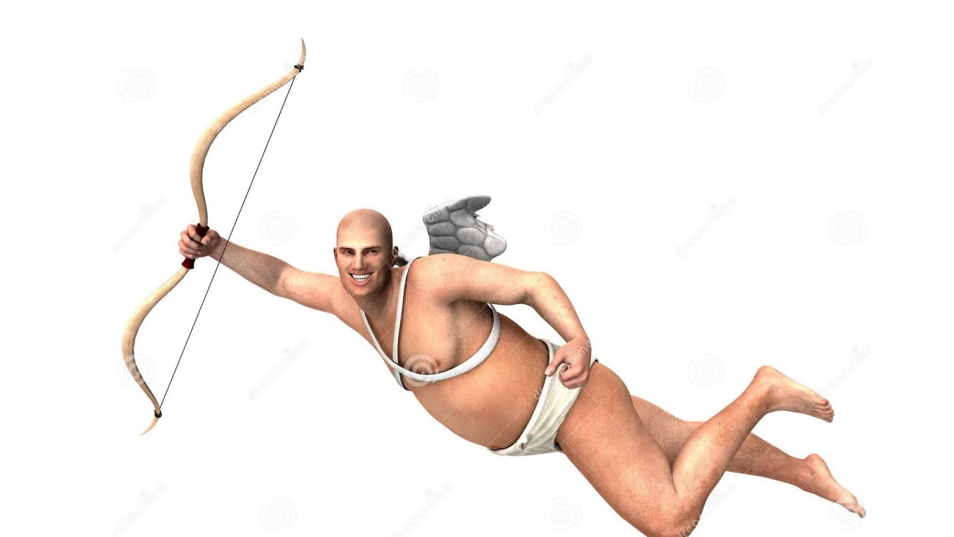 アロー トーナメント