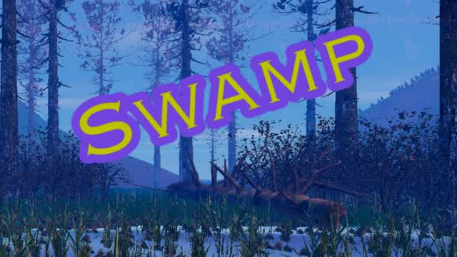Swamp