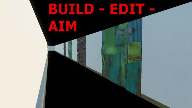 ROUTINE BUILD-EDIT-AIM