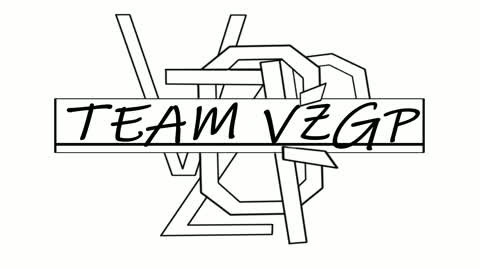1V1 TEAMVZGP