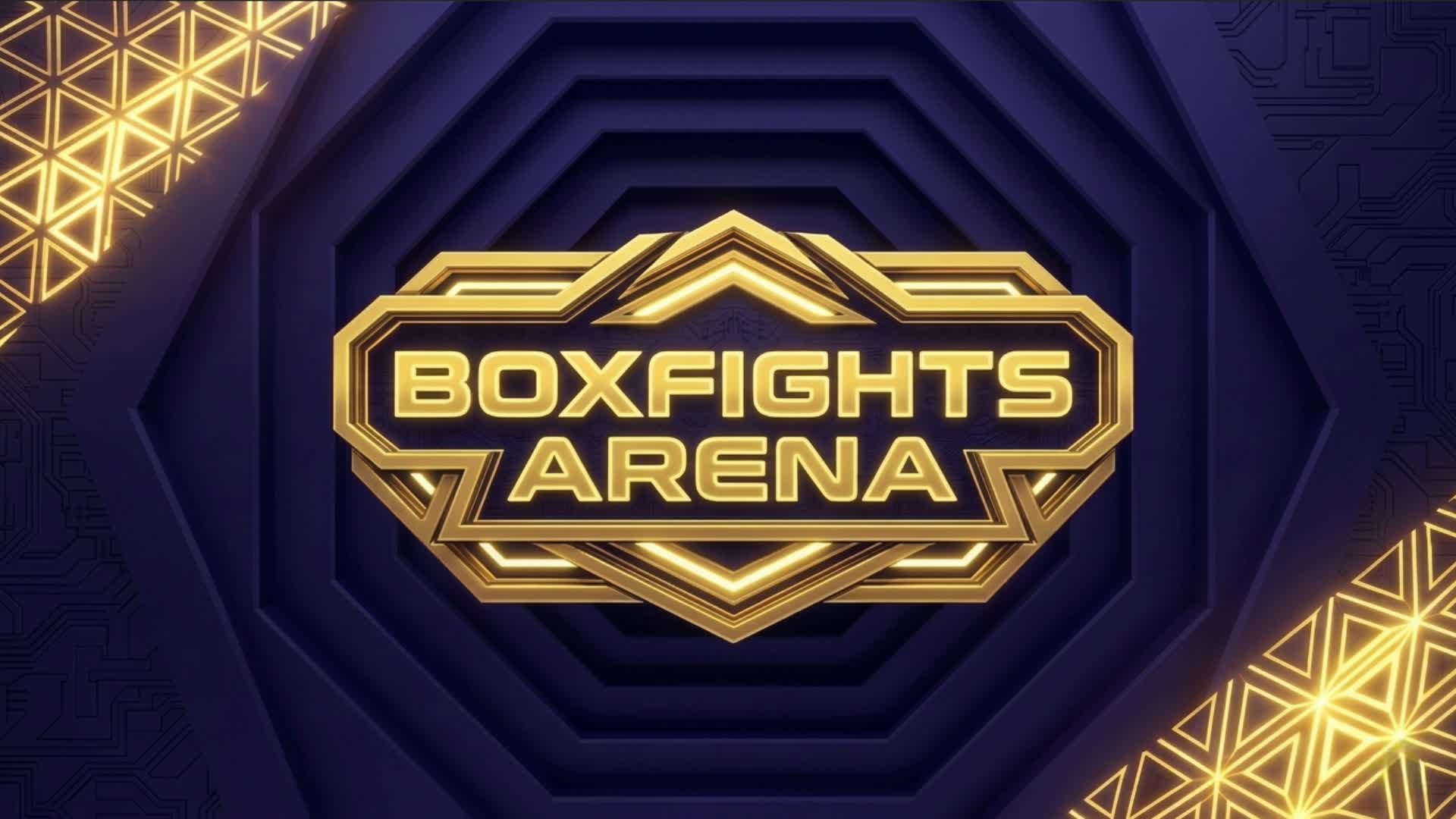 ボックスファイト アリーナ