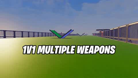 1 V 1 MULTIPLE WEAPONS