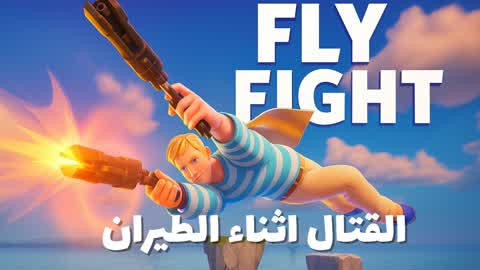 Fly Fight