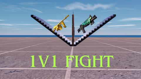 1v1 Fight