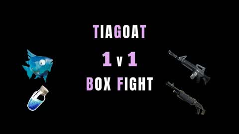 BOX FIGHT TIAGOAT