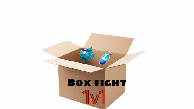 1v1 Box fight