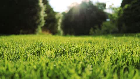 Touch grass simulator