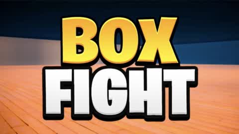 Box fight pro