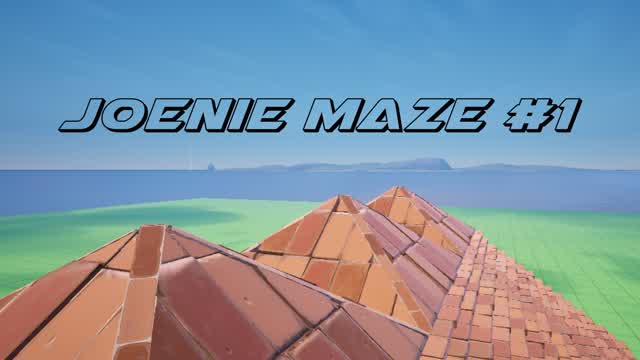 Capture 1 – Joenie Maze #1 - 2025