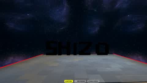Shizo's 2v2 Box Fights!!