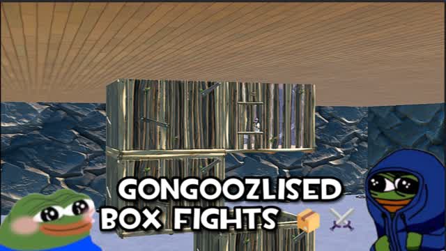 Capture 1 â GONGOOZLISED BOX FIGHTS đŠâïž