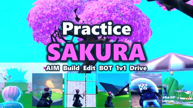 *SAKURA Practice
