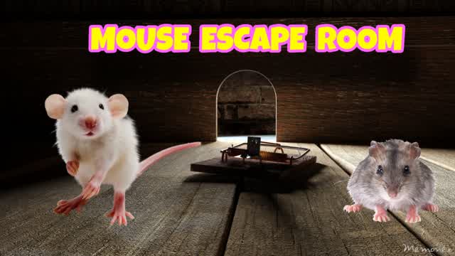 🐁MOUSE ESCAPE ROOM🏃‍♂️