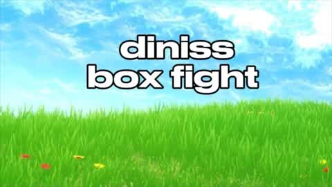 diniss box fight